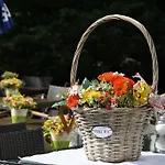 Solehotel Winterberg Hotel Bad Harzburg