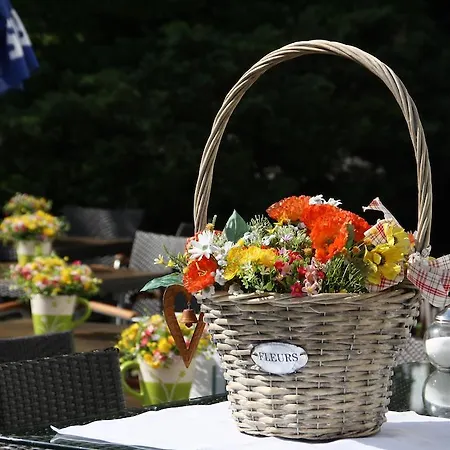 Solehotel Winterberg Hotel Bad Harzburg